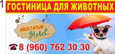 Хвостатый hotel